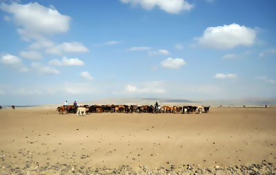 განსხვავებული ფოტოგრაფია - ქართული გლამური და მთა ერთ ობიექტივში Rating